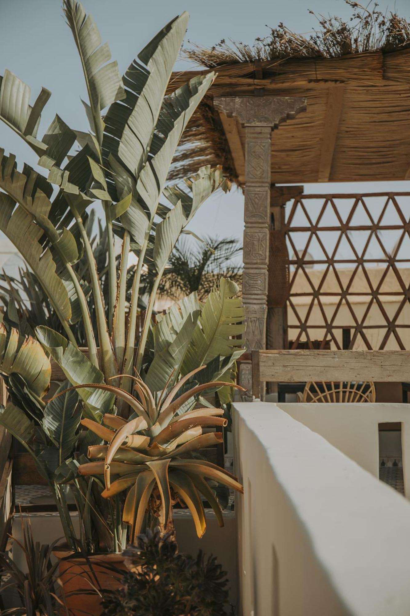 מרקש Riad K מראה חיצוני תמונה
